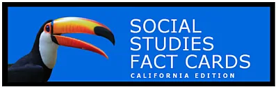 Fact cards