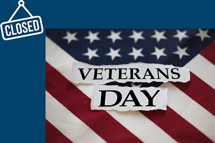 Veterans Day WEBSITE