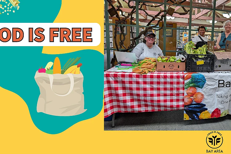 2025 Food Is Free Summer at BPL WEBSITE